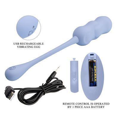Віброяйце з дистанційним керуванням Pretty Love - Leshy Dream Chaser 4 Blue, BI-014868W-A5