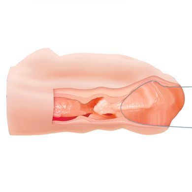 Мастурбатор вагіна Crazy Bull - AVA Realistic Vagina Masturbator, BM-009184