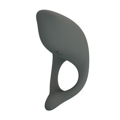 Кільце ерекційне серії Pretty Love - Master ring, BI-210162-1