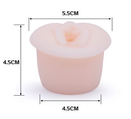 Вакуумна помпа CANWIN Passion Pump - P838-2