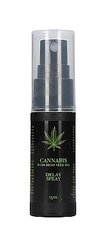 Спрей пролонгирующий Cannabis With Hemp Seed Oil - Delay Spray, 15 ml