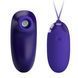 Комплект з віброяйця і вакуумного стимулятора Pretty Love - ORTHUS Youth Multifunctional 2 in 1, BI-014901WL
